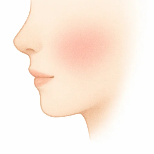 Illustrated flashcard — Cheek