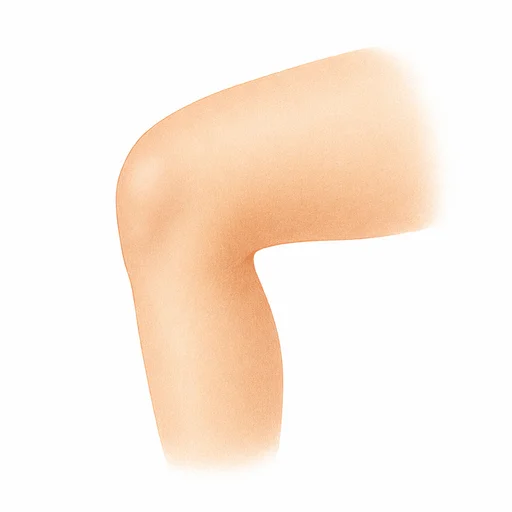 Illustrated flashcard — Knee