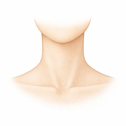 Illustrated flashcard — Neck