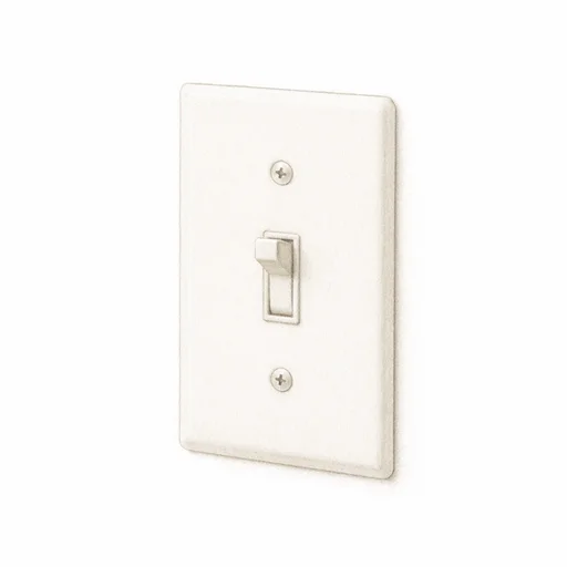 Illustrated flashcard — Light switch