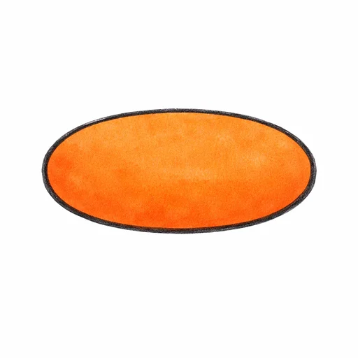 Illustrated flashcard — Oval